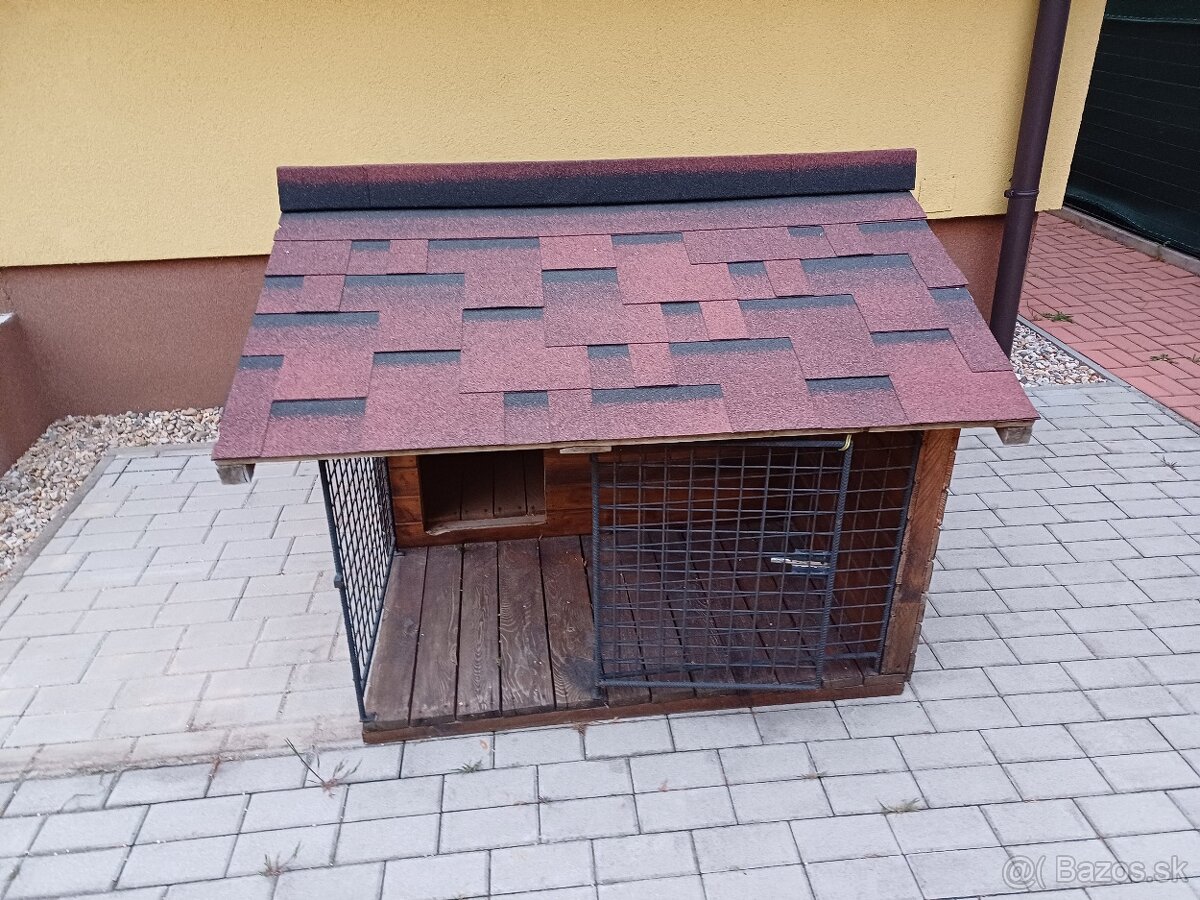 Buda pre psa