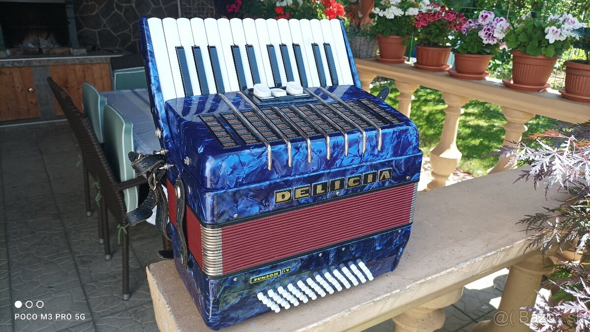 Harmonika -Akordeon.Delícia Junior 60 basová.