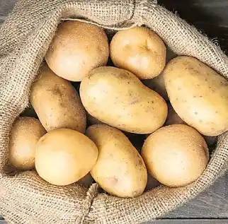 Kvalitné a zdravé domáce zemiaky