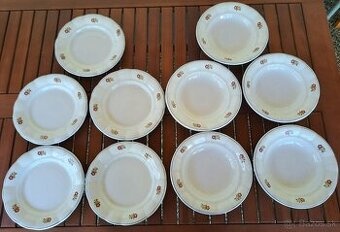 Taniere DITMAR URBACH