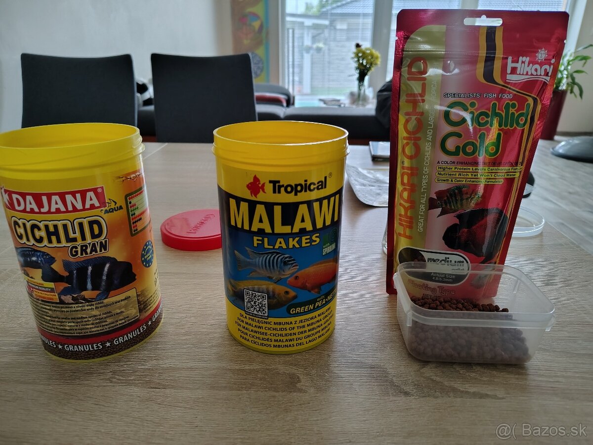 Krmivá pre chichlidy