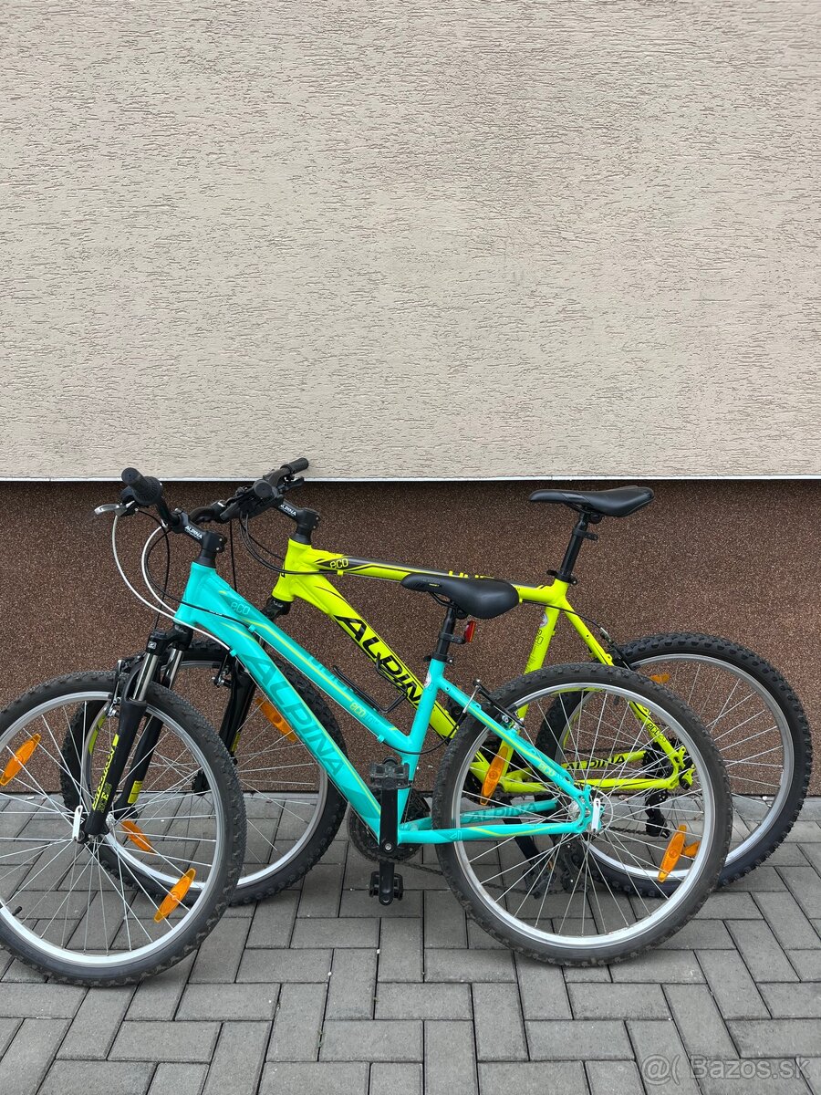 Alpina pro mužský + ženský horský bicykel, ram L a S