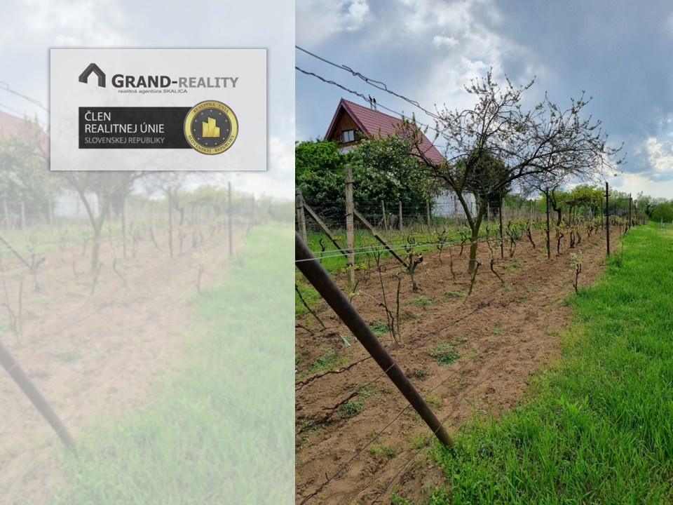 Na predaj vinohrad v meste Skalica - lokalita Žobráky