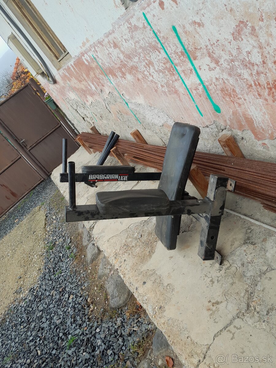 Bradla, triceps,brucho barbarian line