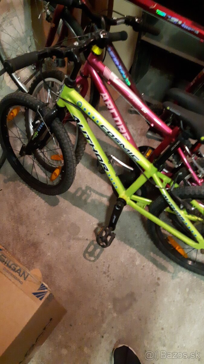 Author cosmic 32T limogreen