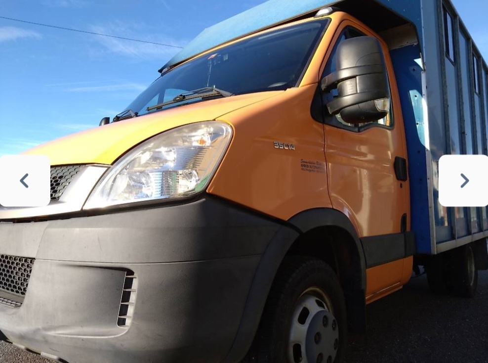 Iveco turbo daily prevoz koni