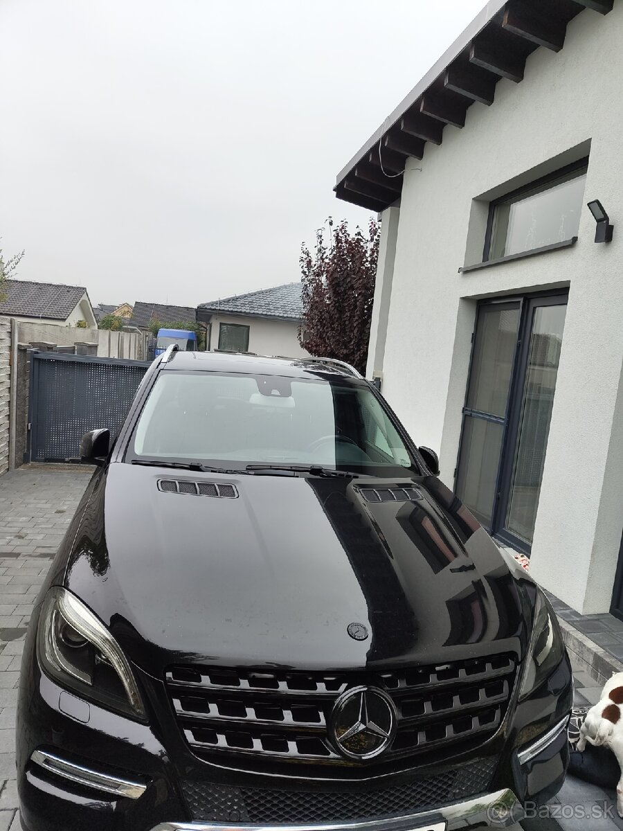 Mercedes Benz ml