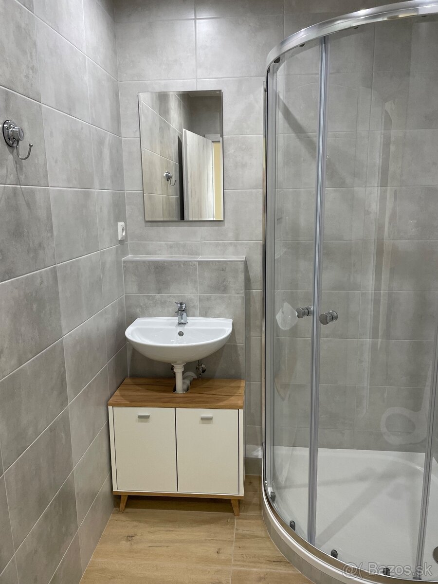 Prenajom 1 izbovy byt