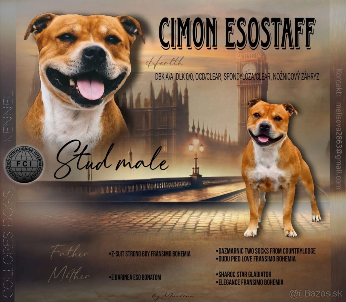 stafordšírsky bulteriér