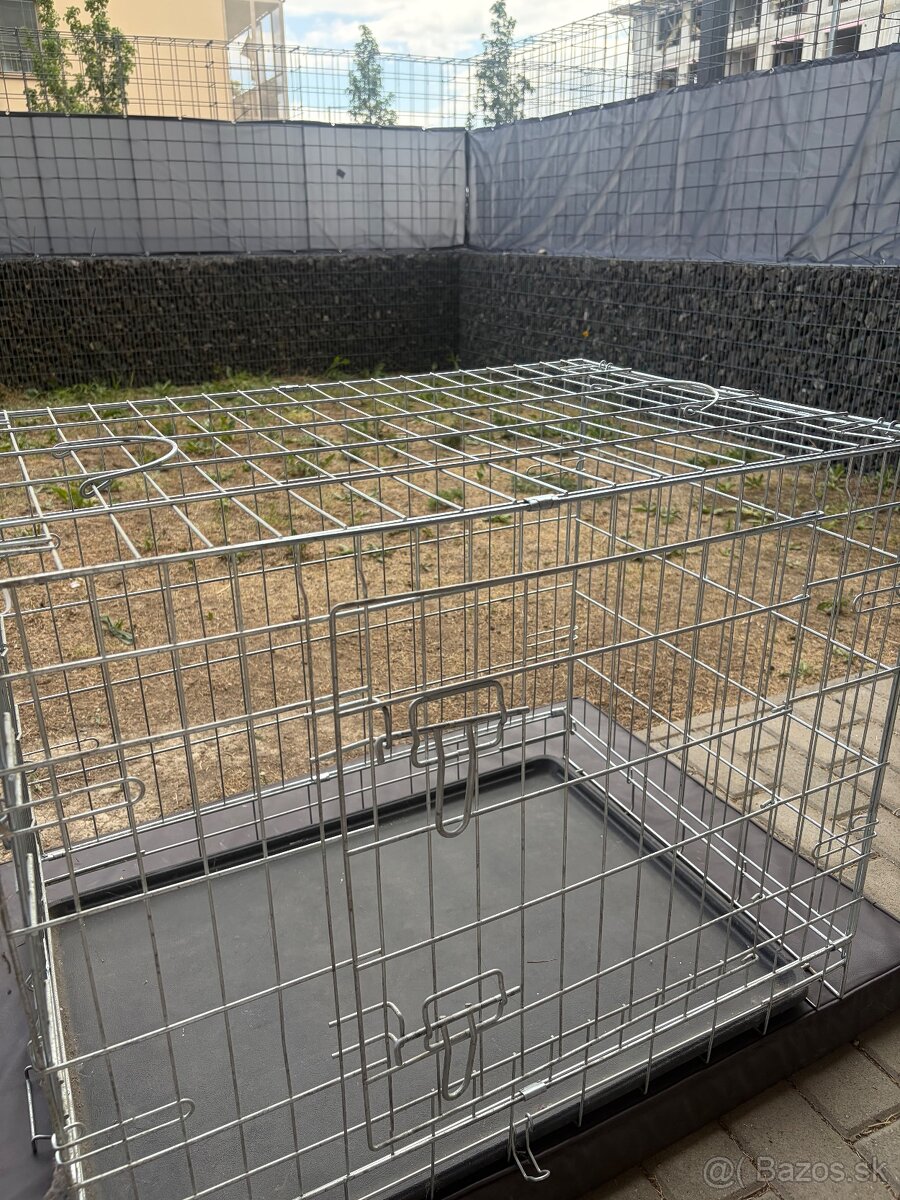 Klientka pre psa