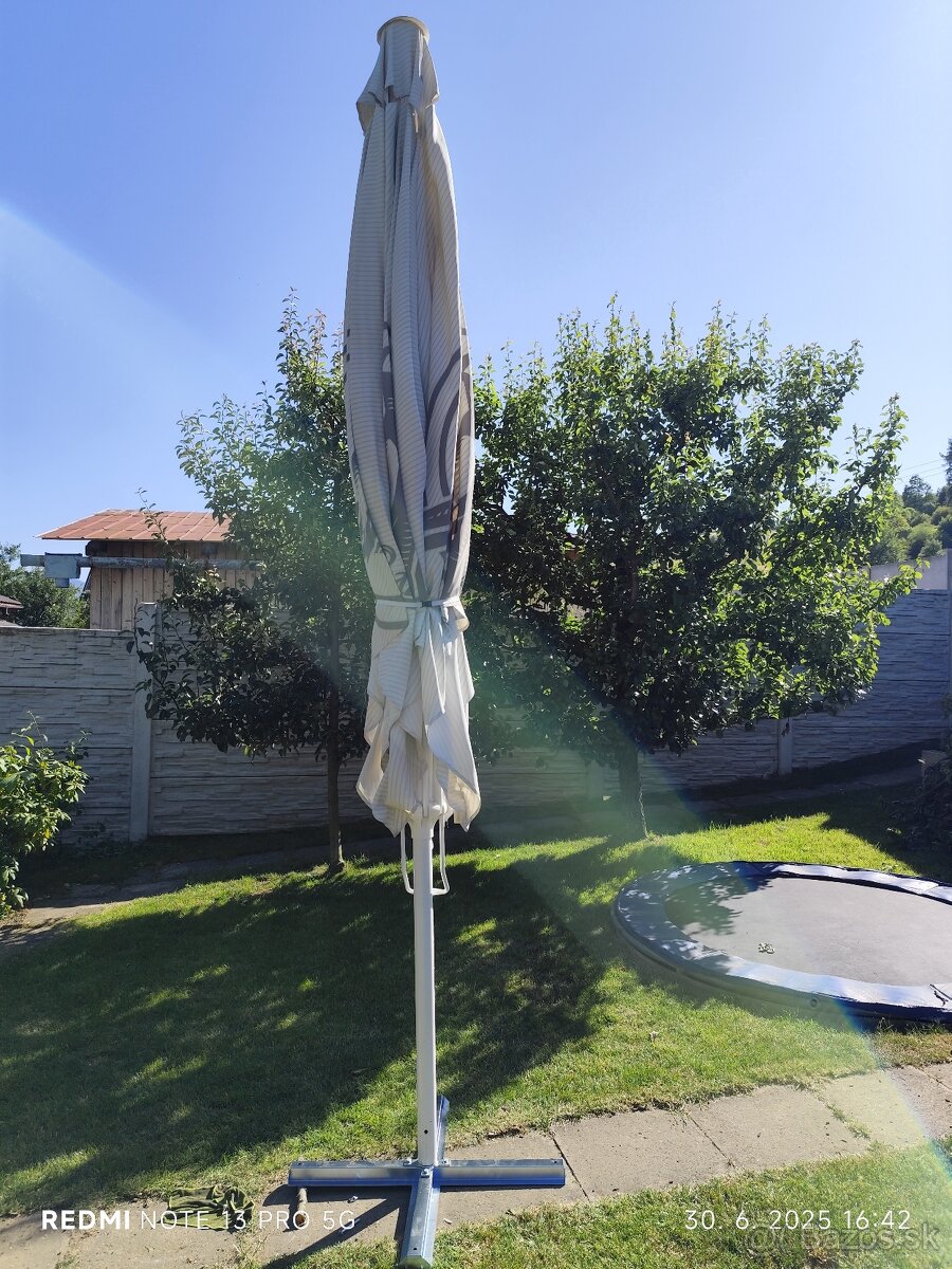 Slnečník