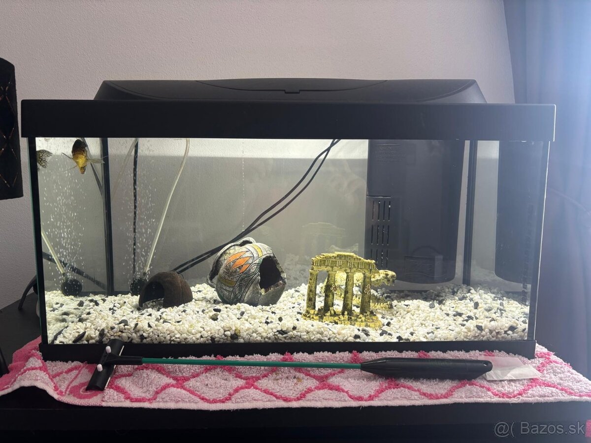 Predam akvarium - Kvetoslavov