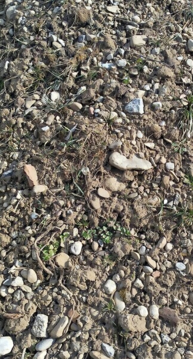 Darujem kamenistu zem