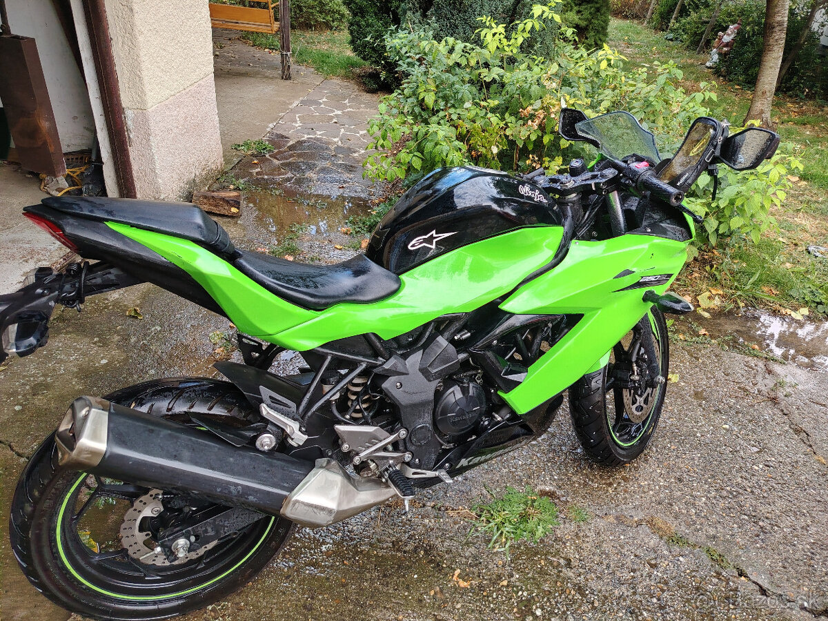 Kawasaki ninja 250