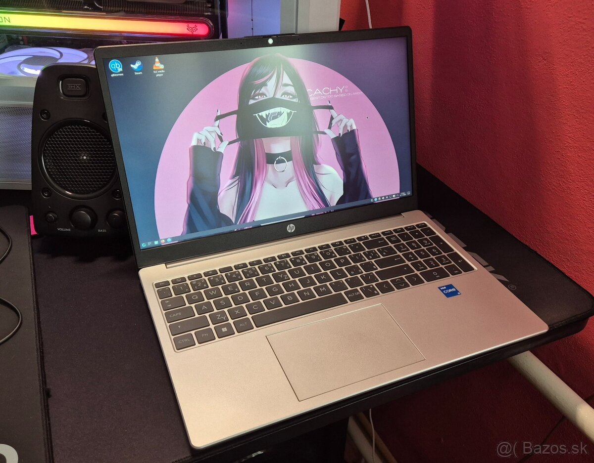 HP 250 G10