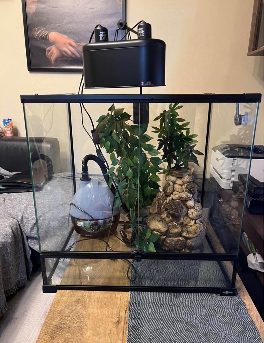 Terarium 60x60x45
