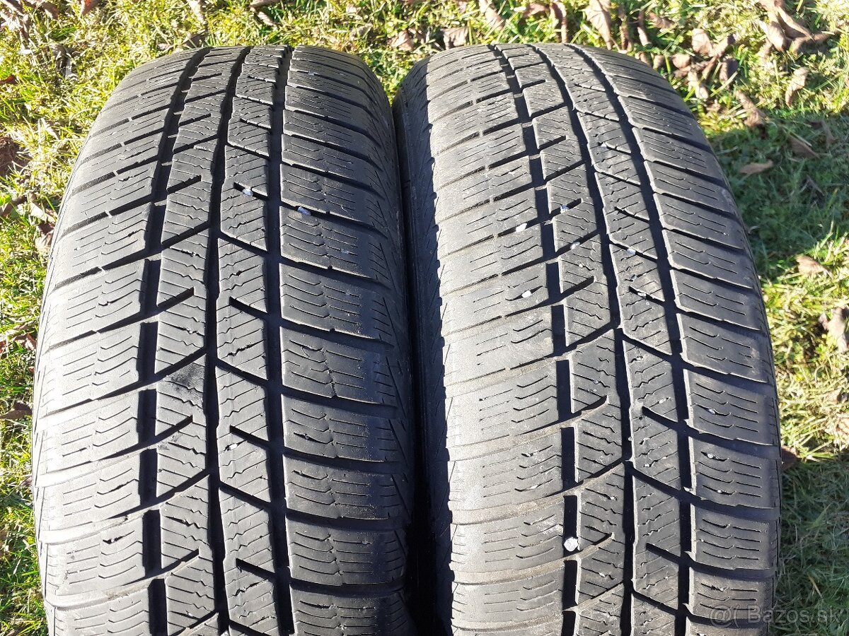 zimne 195/65 r15