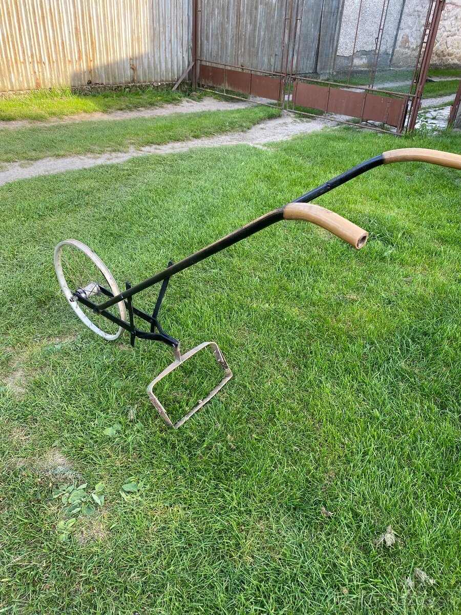 Plečka