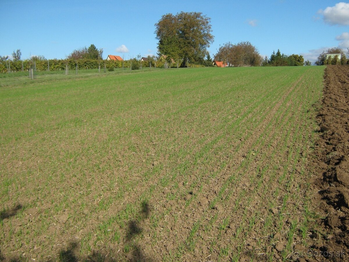 Rekreačný pozemok na chatu o výmere 3200m2.-lacno