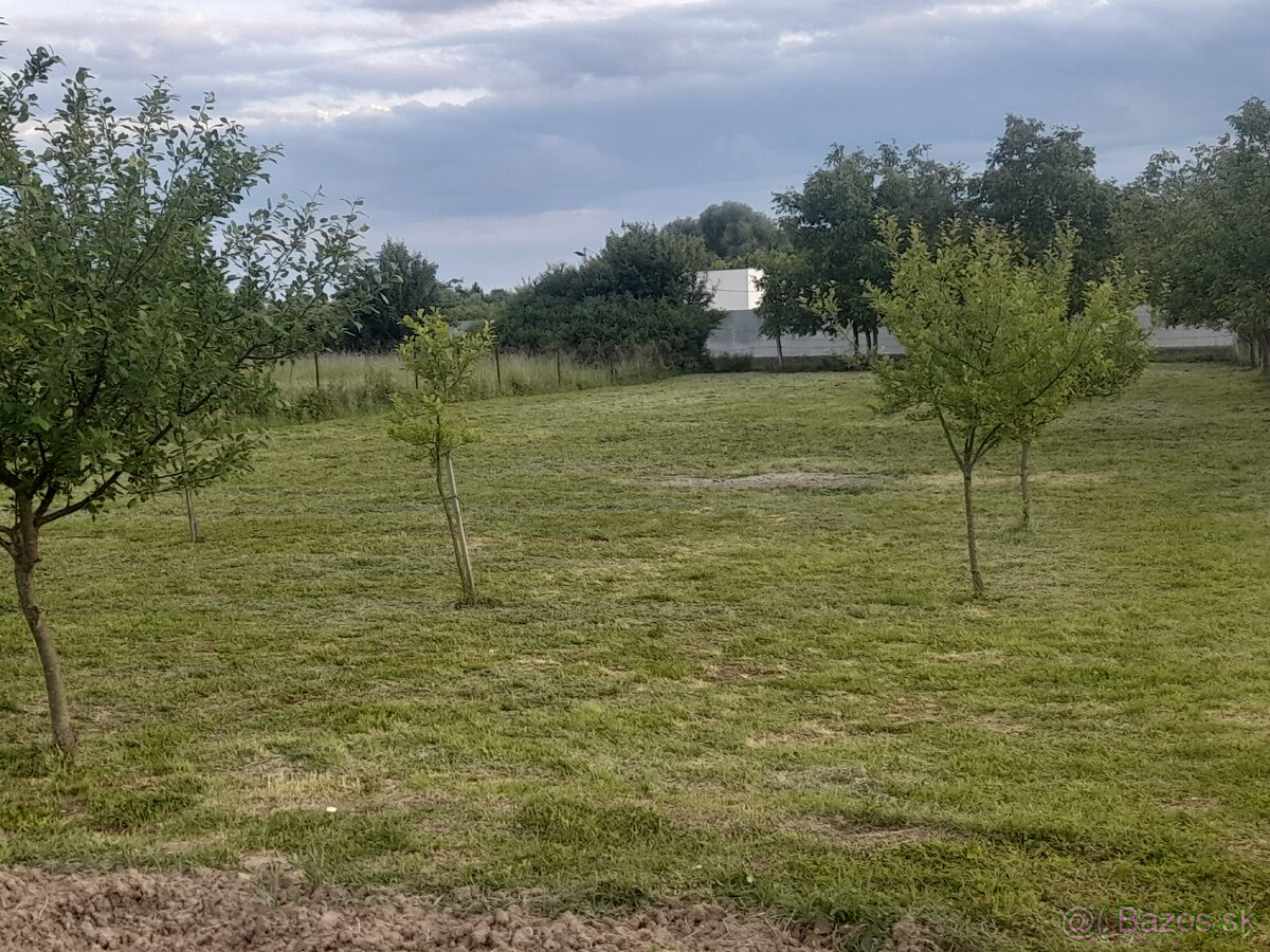 Predam pozemok Pribeniku
