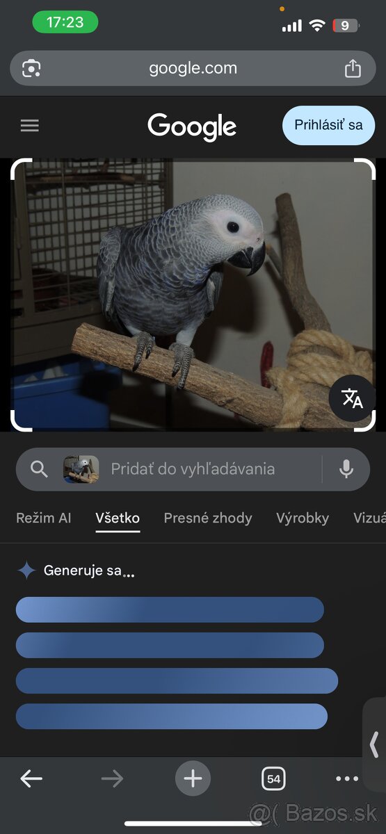 Darujem papagája zako