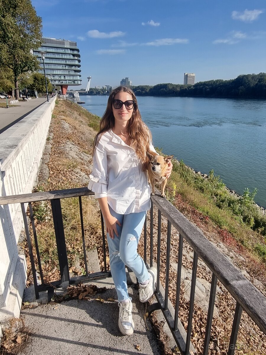 🐾 STRÁŽENIE PSÍKOV – BRATISLAVA (NIVY) 🐶