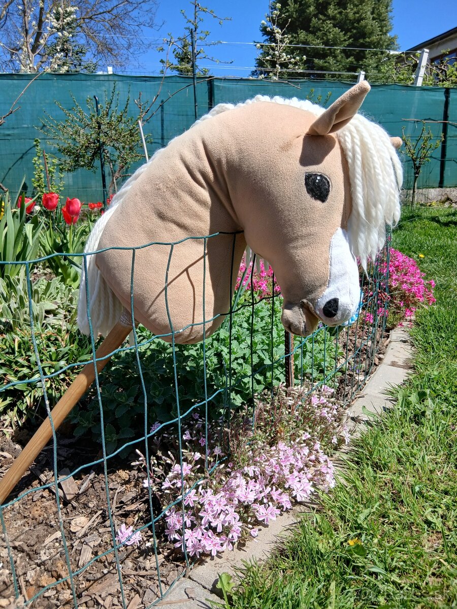 Hobby horse