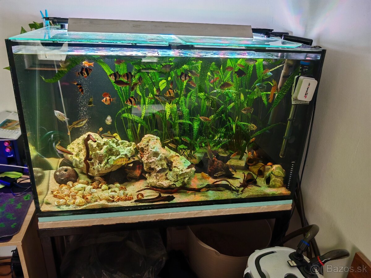 Predám akvárium 360 l so stojanom
