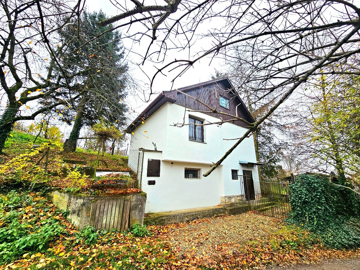 Viničný dom s vinicou Staré Predné Levice