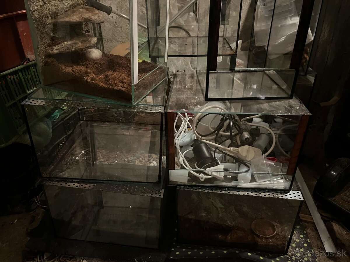 Terarium