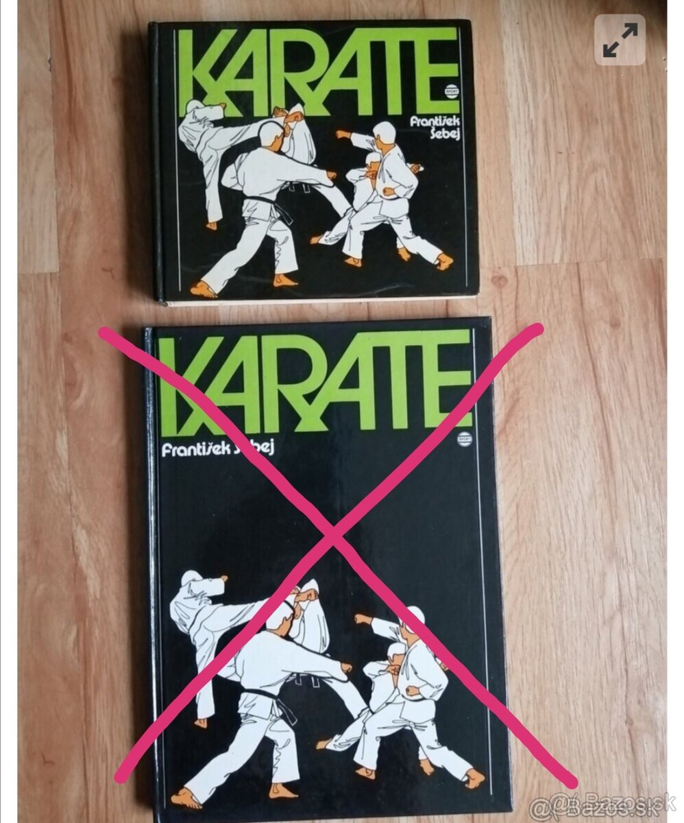 František Šebej - Karate