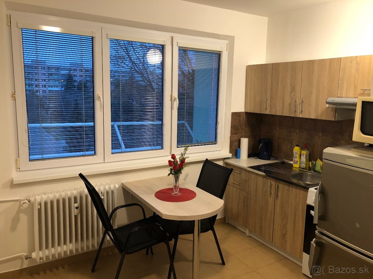 1+1 izbový byt 29 m2 Nešporova