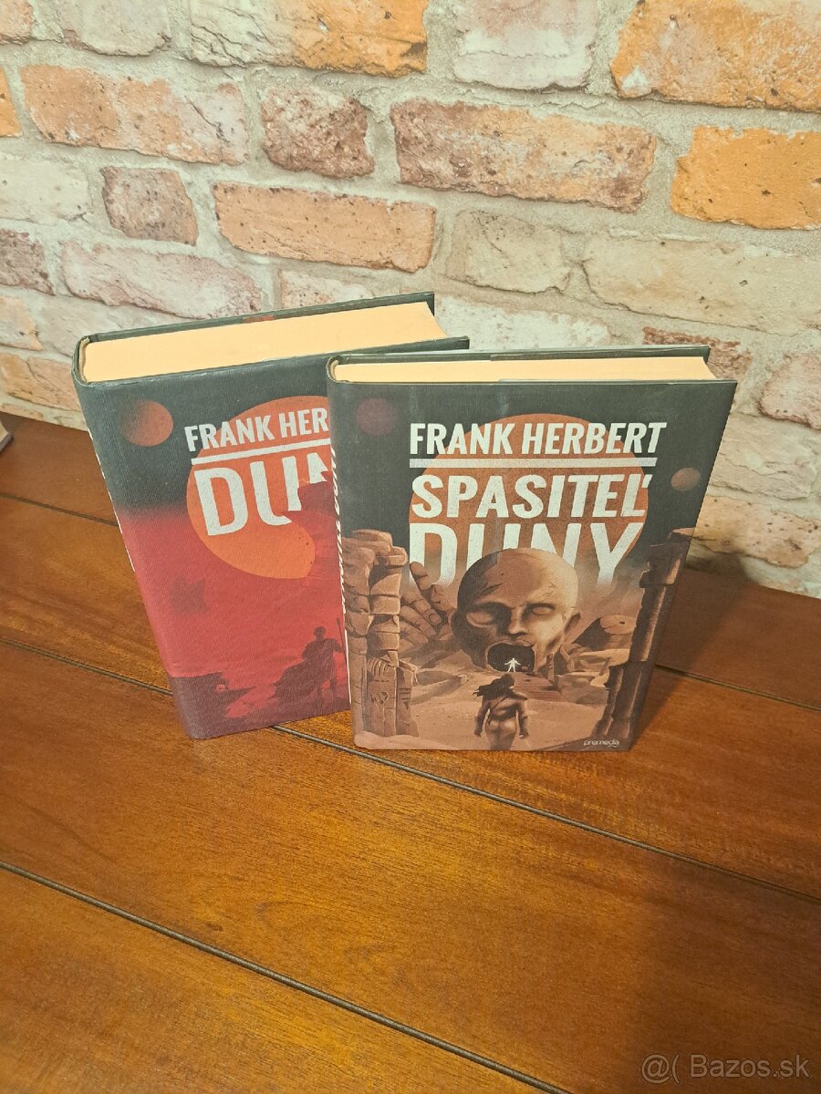 Duna + Spasiteľ Duny