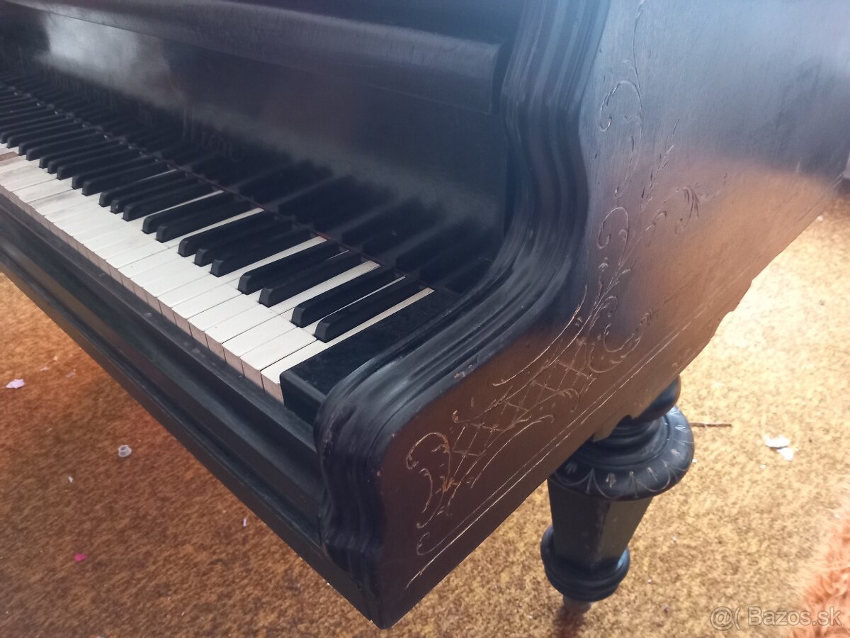 KLAVIR KRIDLO RAKUSKY