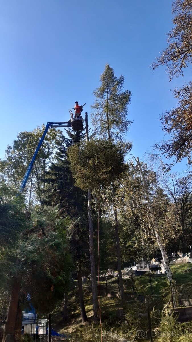 Rizikové orezavanie a pilenie stromov
