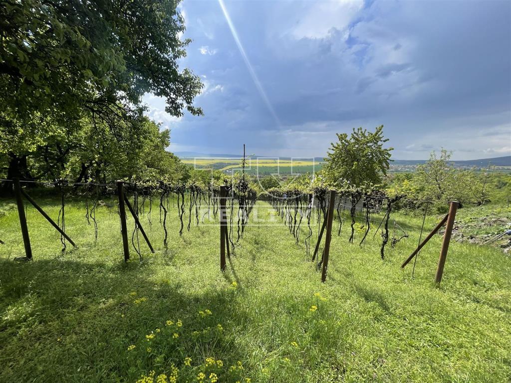 REZERVOVANÉ-Predaj rekreačného pozemku 2853 m2 s chatkou...