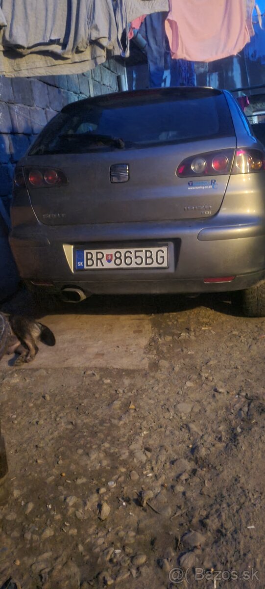 Holub