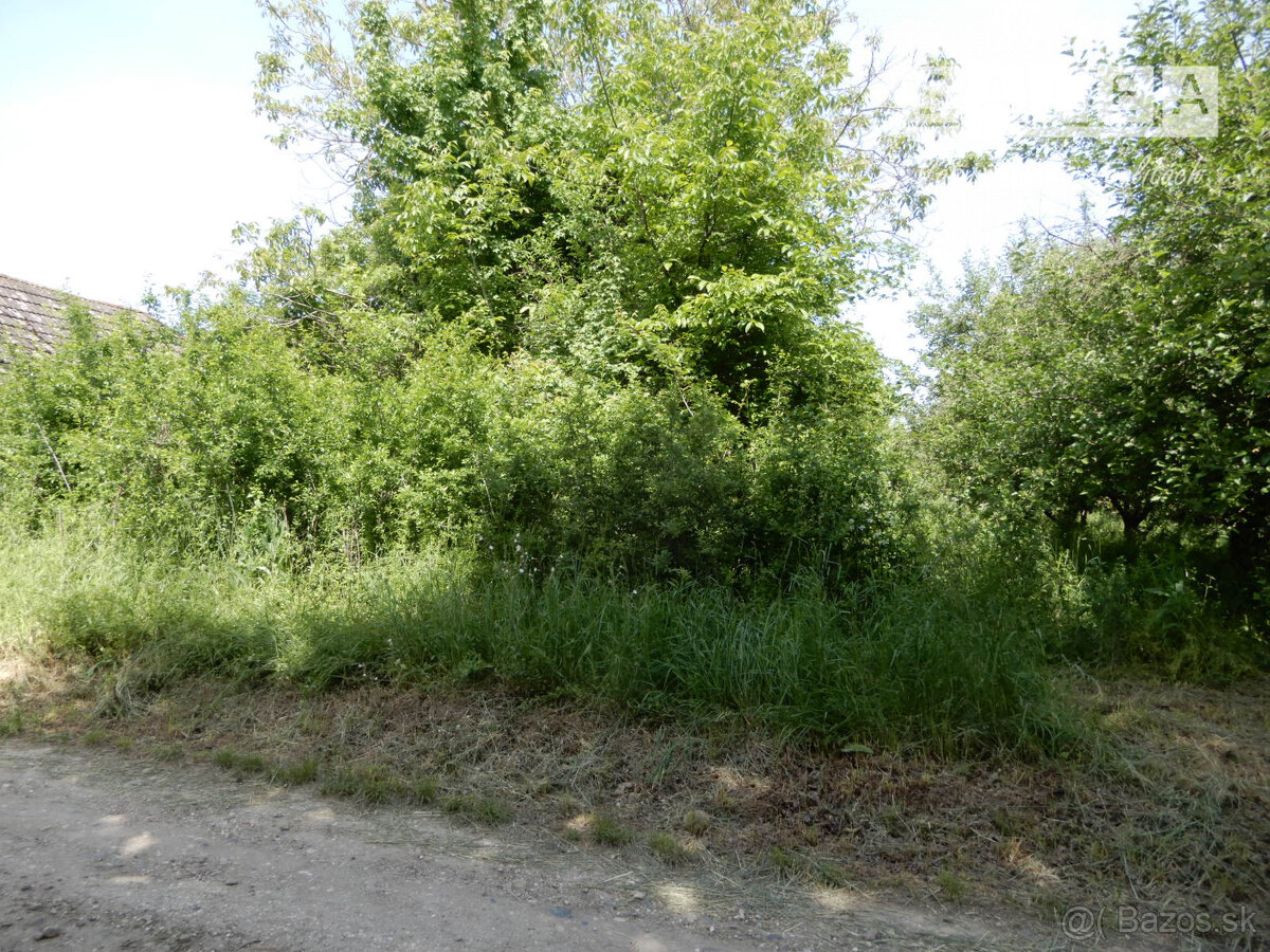 Vinica na predaj, 2500 m2, Farná, okr. Levice