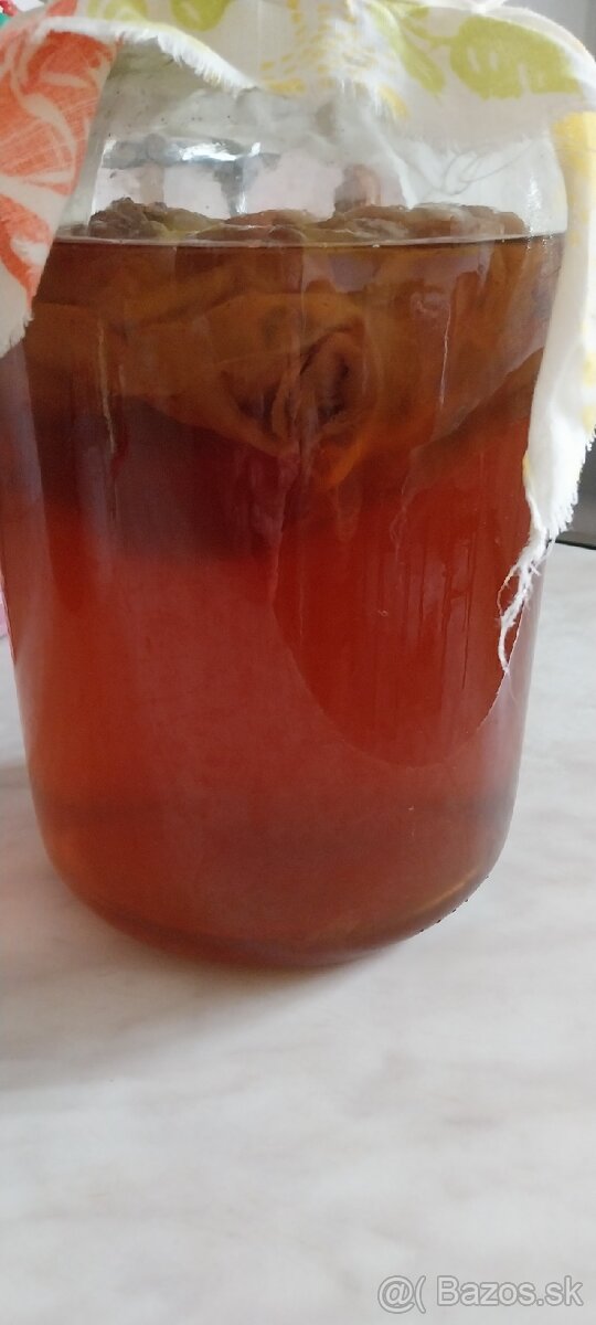 Kombucha
