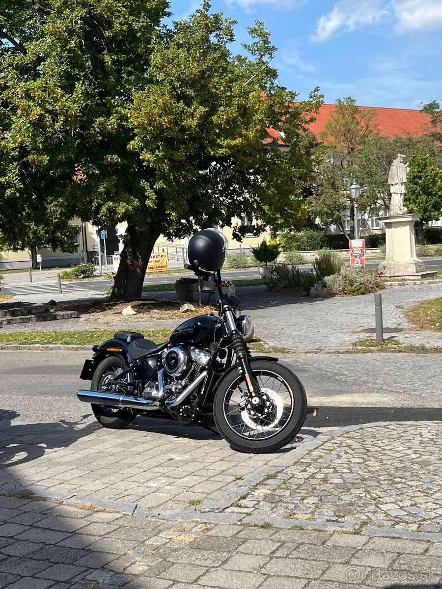 2025 Harley Davidson Street Bob