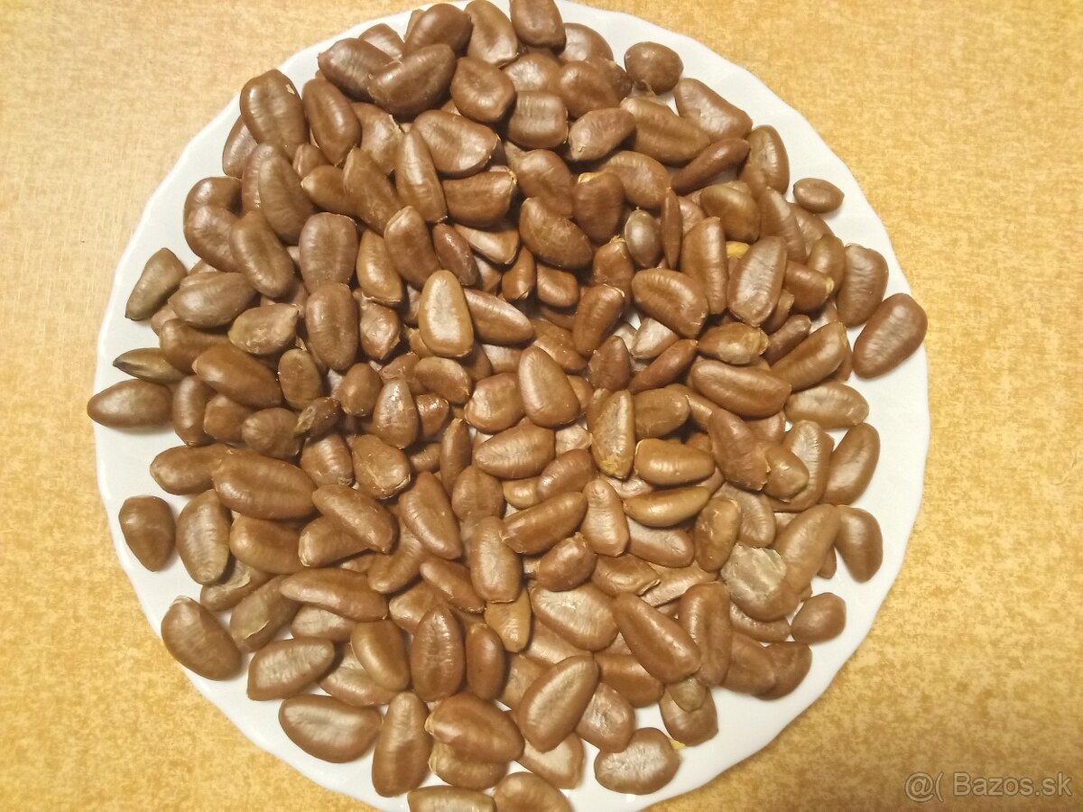 Asimina Triloba