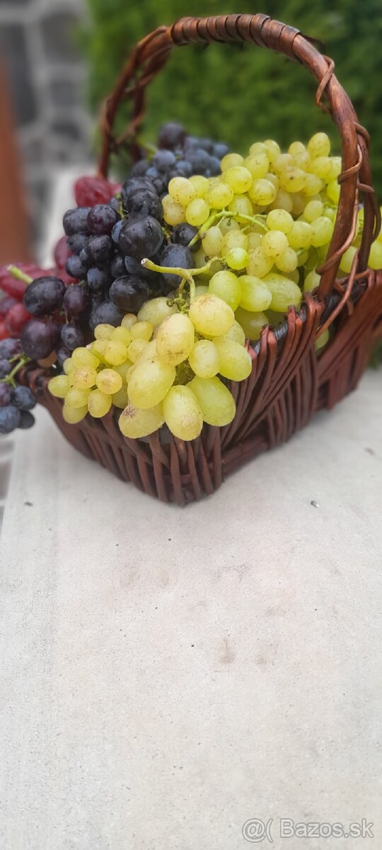 Vinič