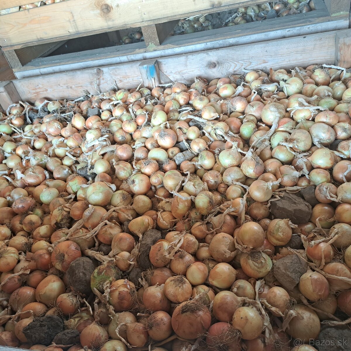 Domáce ZEMIAKY a CIBUĽA aj na zaváranie