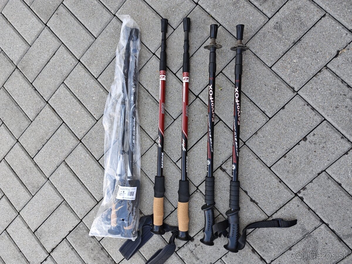 Nordic Walking palice