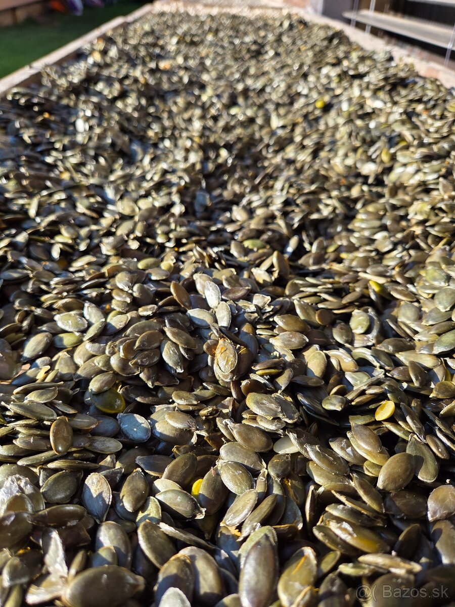 Tekvicové jadierka bezšupkové