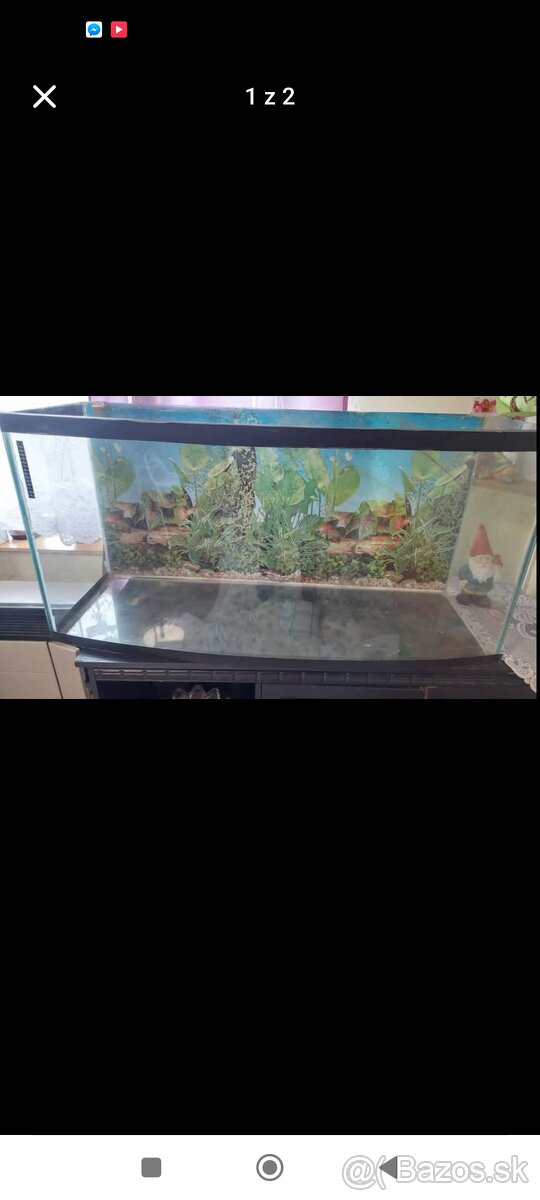 Terárium veľké