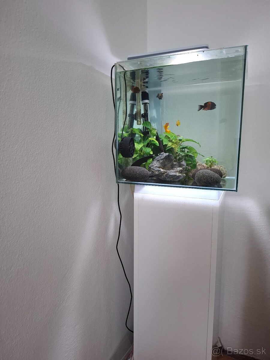Zariadene akvarium komplet