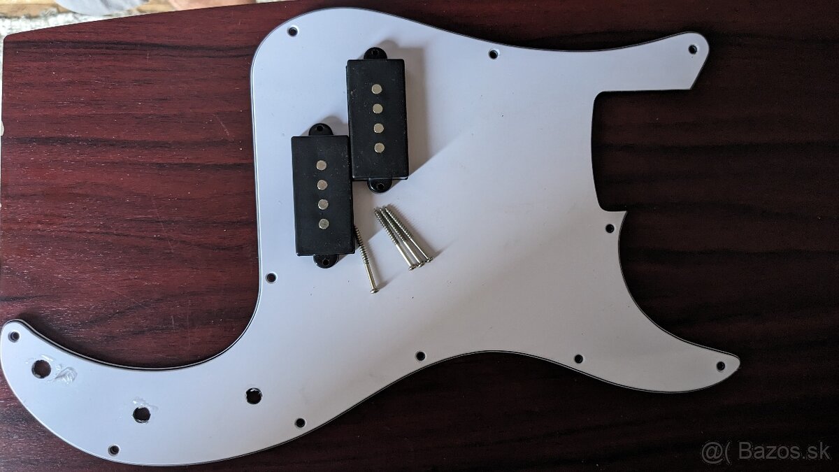 Bass snimac