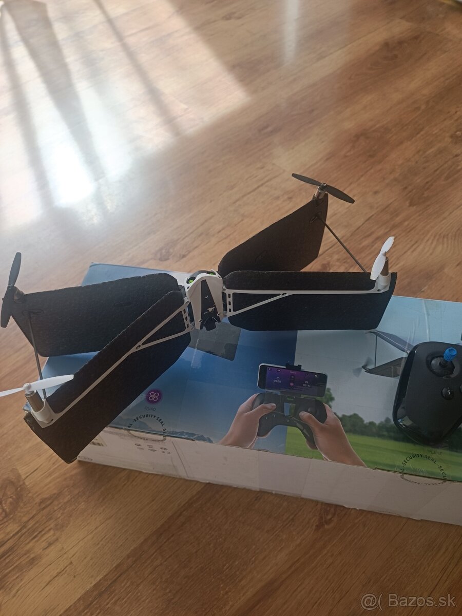 Parrot Swing