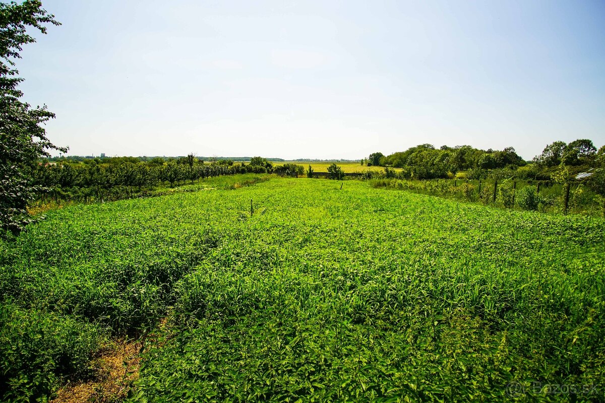 Na predaj pozemok blízko centra s výhľadom na kalváriu